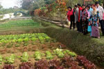 Group of farmers, youths, Panchayat members and Gaon Burahs from Pome-Jote area visiting the Raj Bhawan Kitchen garden : 23/12/2009