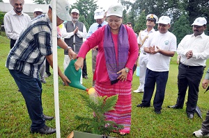 The First Lady of the State Smt Jyotsna Sharma taking part in plantation programme on the occasion of World Environment Day celebration at Raj Bhawan, Itanagar on 5th June 2014