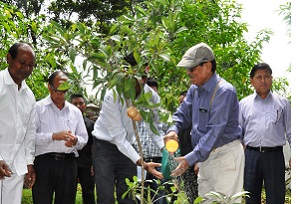 The Governor of Arunachal Pradesh Shri JP Rajkhowa along with officers and officials of the Raj Bhavan planted trees on the World Environment Day at Raj Bhavan on 5th June 2016.