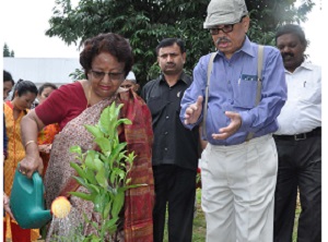 Planted saplings of trees, including fruit bearing trees on the World Environment Day at Raj Bhavan on 5th June 2016.