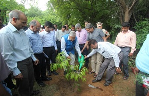 The Governor of Arunachal Pradesh Shri P B Acharya planting Tree at JNU Campus at Delhi on 26th July2017.